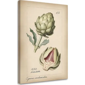 Obraz OBRAZ DO KUCHYNĚ Zelenina Vintage Artyčok NA PLÁTNĚ 80x120