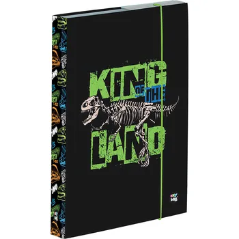 desky na sešit BOX na sešity A5 P+P Karton 169223 Premium Dinosaurus
