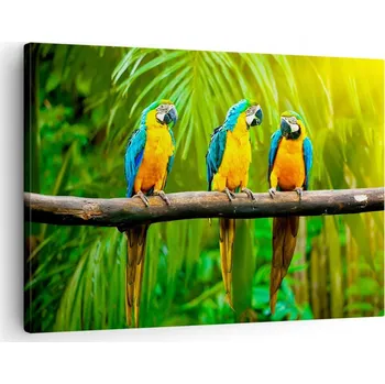 Obraz Obraz na plátně do obýváku, ložnice 70x50 ptáci foto obrazy na zeď