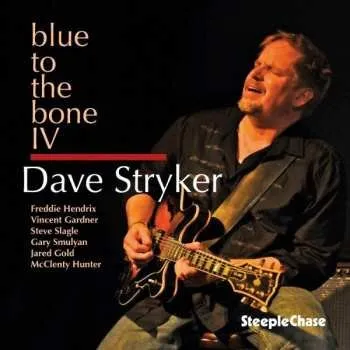 Zahraniční hudba CD Dave Stryker: Blue To The Bone IV 2013
