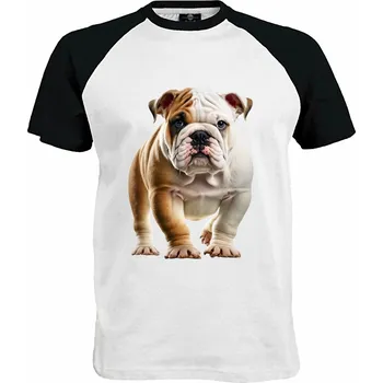 Pánské tričko Tričko Anglický buldok Druh: Pánské, Barva: Černo | Bílá, Velikost: XL
