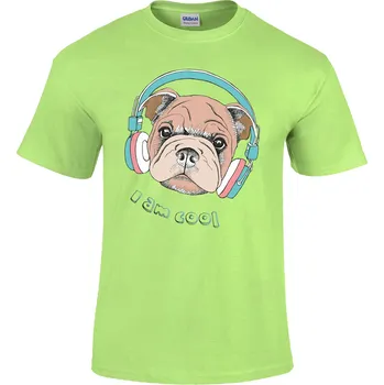 Pánské tričko Tričko Jsem v pohodě Druh: Dětské, Barva: Světle Zelená, Velikost: L