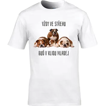 Pánské tričko Tričko Vždy ve střehu Druh: Dětské, Barva: Bílá, Velikost: 110-XS