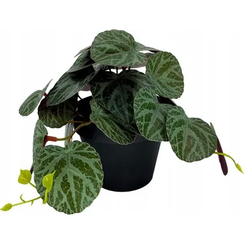 umělá květina Diefenbachie Umělé květy JAKO ŽIVÁ 55 cm