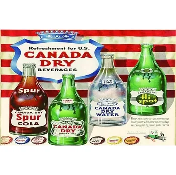 Obraz Cedule Canady Dry