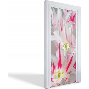 Fototapeta Dekorační samolepka na dveře, nábytek, skříň - Růžovo-bílé tulipány 85x205 cm