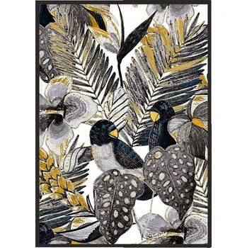 Obraz OBRAZ PLAKÁT V RÁMU 33x43 cm Ptáci P1110