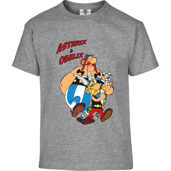 Pánské tričko Tričko Asterix & Obelix Druh: Dětské, Barva: Šedá, Velikost: 158-XL