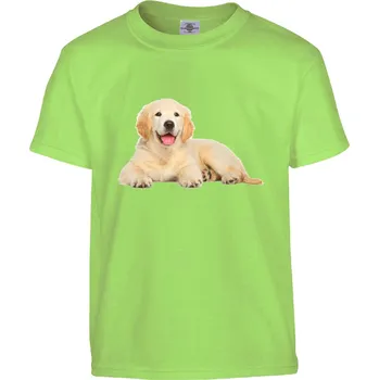 Pánské tričko Tričko Zlatý retrívr Druh: Dětské, Barva: Světle Zelená, Velikost: 146-L