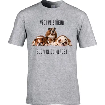 Pánské tričko Tričko Vždy ve střehu Druh: Dětské, Barva: Šedá, Velikost: XL