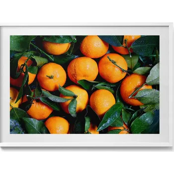 Obraz Ozdobný nástěnný obraz v bílém rámu Zralé italské pomeranče 100x70 cm