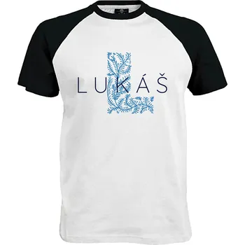 Pánské tričko Tričko Lukáš Druh: Pánské, Barva: Černo | Bílá, Velikost: S