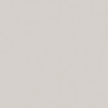 Dlažba Dlažba Rako Color Two světle šedá 20x20 cm mat GAA1K112.1