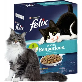 Krmivo pro kočku Felix Seaside Sensations Suché Krmivo pro kočky s lososem a zeleninou 1kg