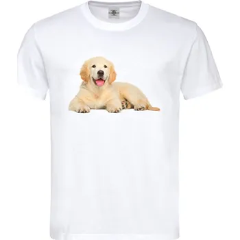 Pánské tričko Tričko Zlatý retrívr Druh: Pánské, Barva: Bílá, Velikost: S