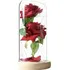 umělá květina Springos Věčná růže ve skle s LED osvětlením