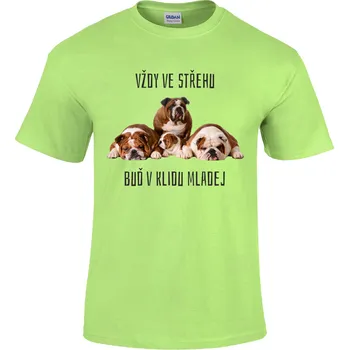 Pánské tričko Tričko Vždy ve střehu Druh: Dětské, Barva: Světle Zelená, Velikost: XL