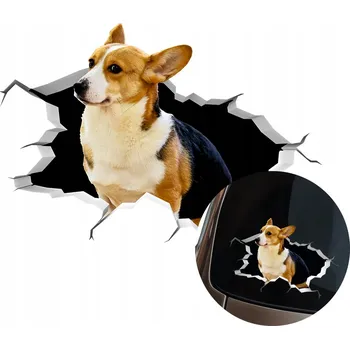 Samolepicí dekorace na vozidlo SAMOLEPKA Grafika na auto rozbité okno Vypadající Pes CORGI 15x11 cm