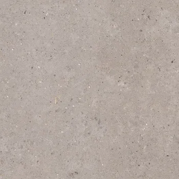 Dlažba Dlažba Pastorelli Biophilic grey 120x120 cm mat P009411