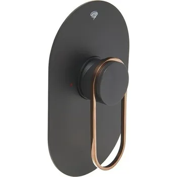 Vodovodní baterie Sprchová baterie SAT Fusion včetně podomítkového tělesa černá/bronz SATBSFU210CPCBR