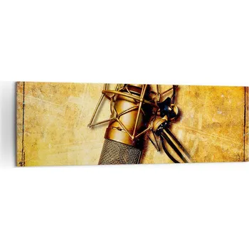 Obraz Velký obraz do obýváku 160x50 mikrofon moderní fotoobraz na plátně obrazy