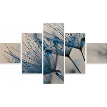 Obraz Vícedílný obraz Semena pampelišky KAPKY 3D 200x120