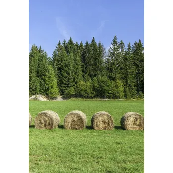 Obraz Plakát Stohy sena na travnatém poli bez rámu 30 x 45 cm