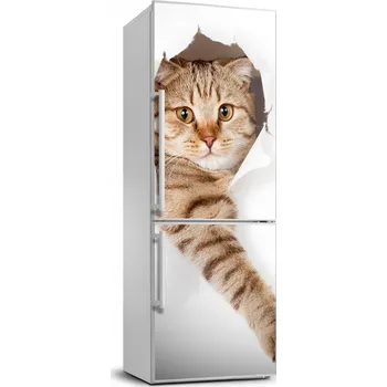 Samolepící dekorace Samolepící nálepka na zeď lednice s motivem kočky