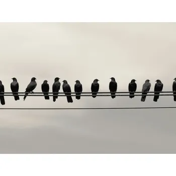 Plakát Plakát Konference ve Výškách bez rámu 100 x 75 cm