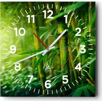 Hodiny Nástěnné hodiny do obýváku 40x40 Rostlina Bezhluké hodiny na skle Tiché