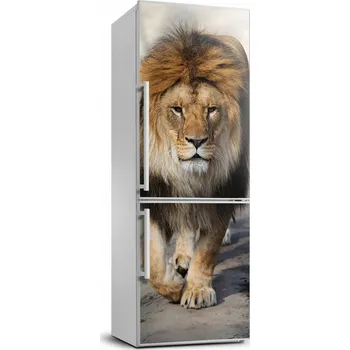 Fototapeta Samolepicí samolepící na ledničku Lev