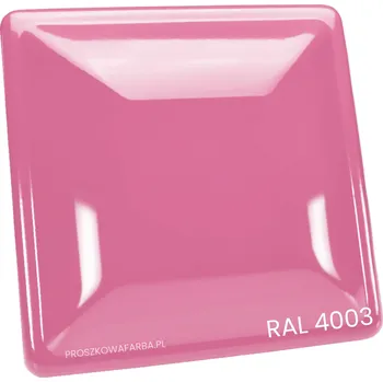 Příslušenství pro čtečku elektronické knihy BARVA RAL 4003 Polyesterová Růžová Intenzivní Hladká Lesklá