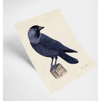 Obraz Autorská ilustrace Kawka 21x30 - Tukan Media