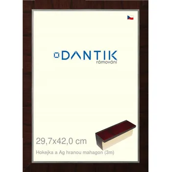 Obraz DANTIK Rámeček na jednu fotku 42 x 29,7 cm