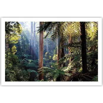 Obraz Obraz plakát do obýváku ložnice 91x61 krajina foto na zeď bez rámu