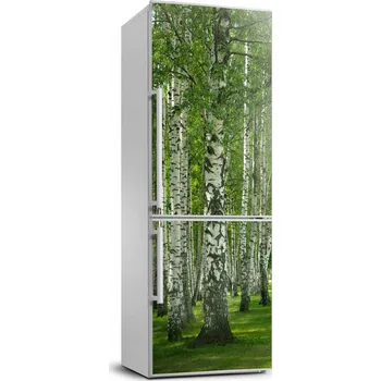 Fototapeta Fototapeta / Nálepka na ledničku - Březový les 70x190 cm