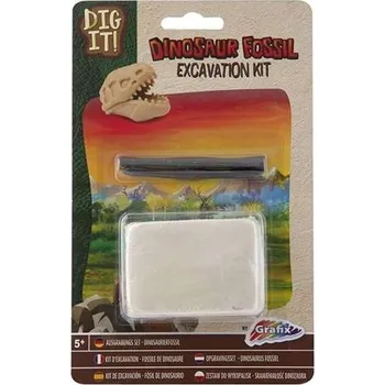 kreativní sada Lebka dinosaura dinosaurus v bloku Kreativní sada