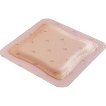 Allevyn Ag Adhesive 10 cm x 10 cm