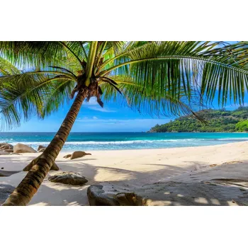 Obraz Vícedílný obraz Tropická pláž s palmou 3D 90x60