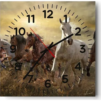 Hodiny Kuchyňské nástěnné hodiny 30x30 Zvířata Skleněné hodiny do obýváku Moderní Tiché