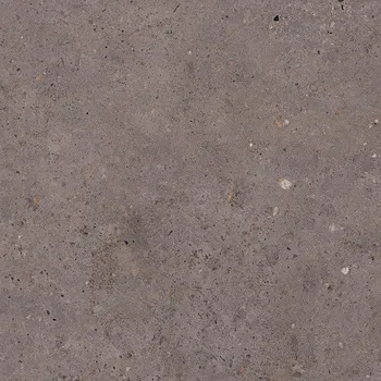 Dlažba Dlažba Pastorelli Biophilic dark grey 60x60 cm mat P009497