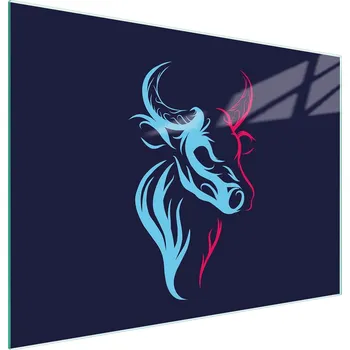 Kuchyňské prkénko Krájecí deska TMK ArtDeko sklo 2 ks