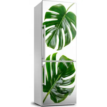 Fototapeta Samolepicí fólie / Tapeta na lednici Monstera 70x190 cm