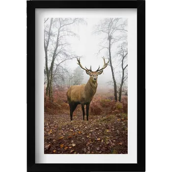 Obraz Závěsný obraz na zeď dekorace do domu Jelen v lese na podzim 20x30 cm