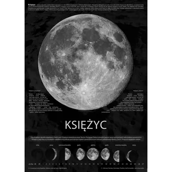Obraz Plakát Fáze Měsíce - Informační, bez rámu, 50 x 70 cm