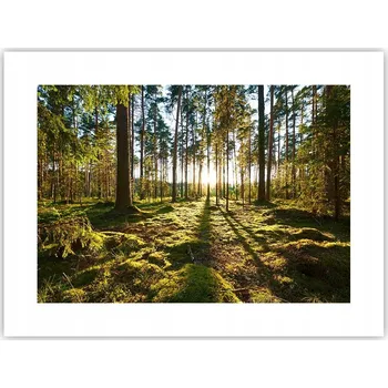 Obraz Obraz plakát do obýváku, ložnice 40x30 krajina foto na zeď bez rámu