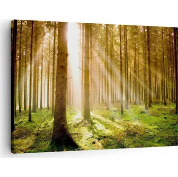 Obraz Obraz na plátně do obýváku ložnice 70x50 les foto obrazy na zeď canvas