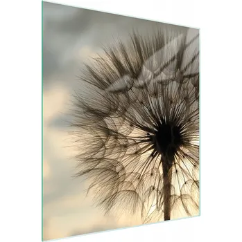 Kuchyňské prkénko Krájecí deska TMK ArtDeko sklo 1 ks