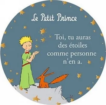 Dekorativní magnet Magnet MAGR07G17 MALÝ PRINC KIUB