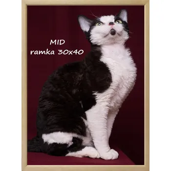 Obraz KLASICKÝ RÁM PRO ZAVĚŠENÍ FOTOGRAFIÍ 30X40 DŘEVO PŘÍRODNÍ BARVA